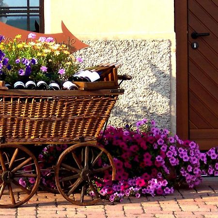 Chez Romane - Appartement Avec Parking Riquewihr Zewnętrze zdjęcie