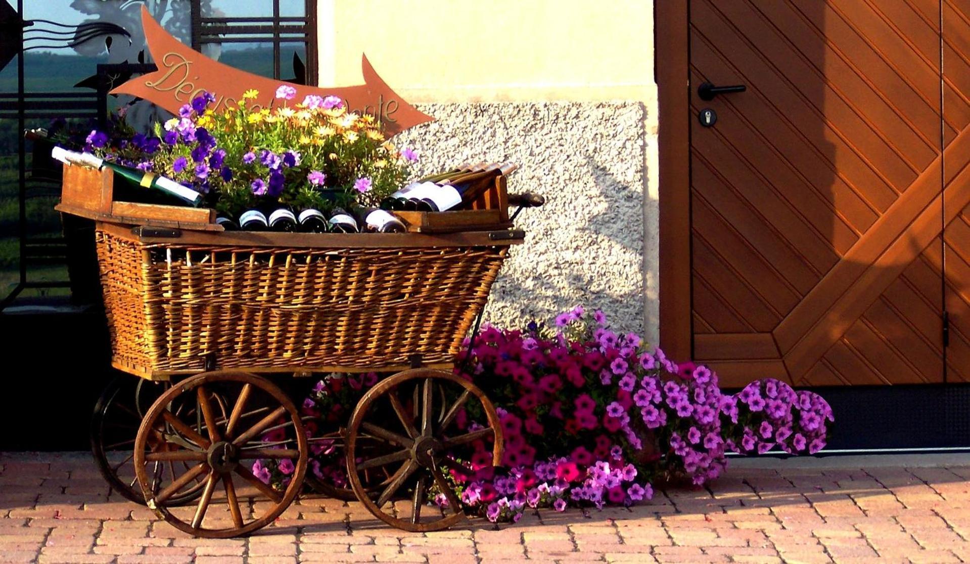 Chez Romane - Appartement Avec Parking Riquewihr Zewnętrze zdjęcie